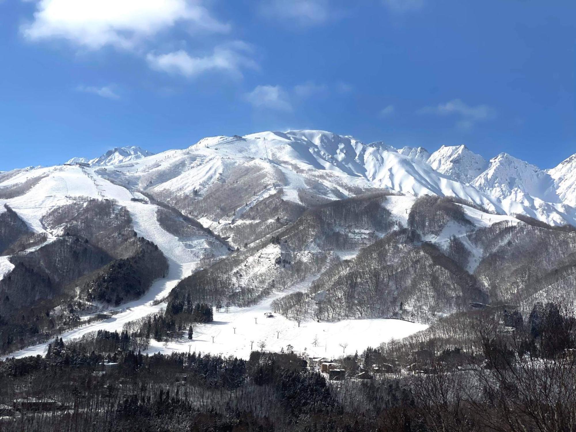 Winterfell Hakuba Villa Exteriör bild